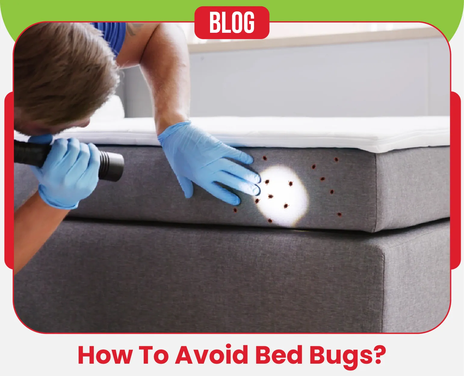 carpet cleaning in ny, carpet cleaner in ny, carpet cleaners in ny, carpet cleaners in ny, drapery cleaners in ny, carpet cleaning in ny, mattress cleaning in ny, mattress cleaners in ny, commercial carpet cleaning, commercial carpet cleaners in ny, ny rug cleaners, rug cleaning services in ny same day carpet cleaning, same day rug cleaning