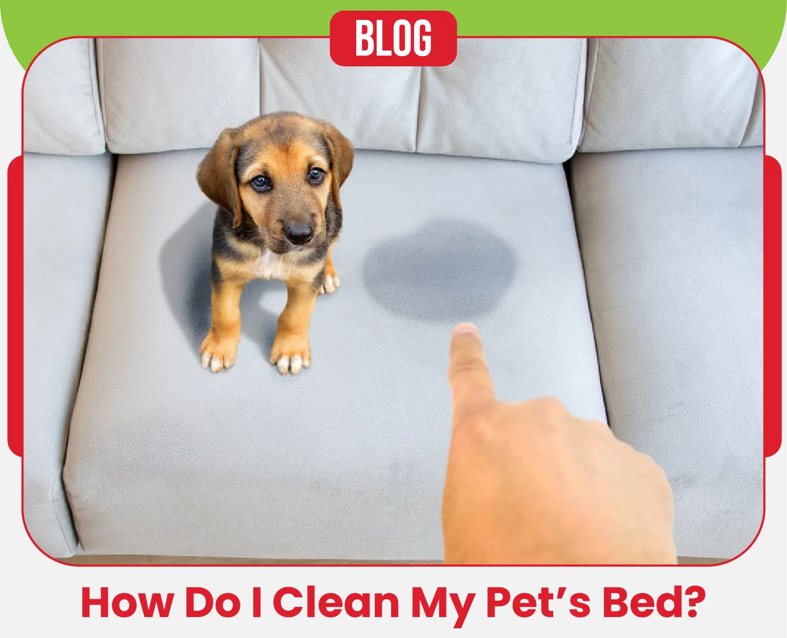 carpet cleaning in ny, carpet cleaner in ny, carpet cleaners in ny, carpet cleaners in ny, drapery cleaners in ny, carpet cleaning in ny, mattress cleaning in ny, mattress cleaners in ny, commercial carpet cleaning, commercial carpet cleaners in ny, ny rug cleaners, rug cleaning services in ny same day carpet cleaning, same day rug cleaning