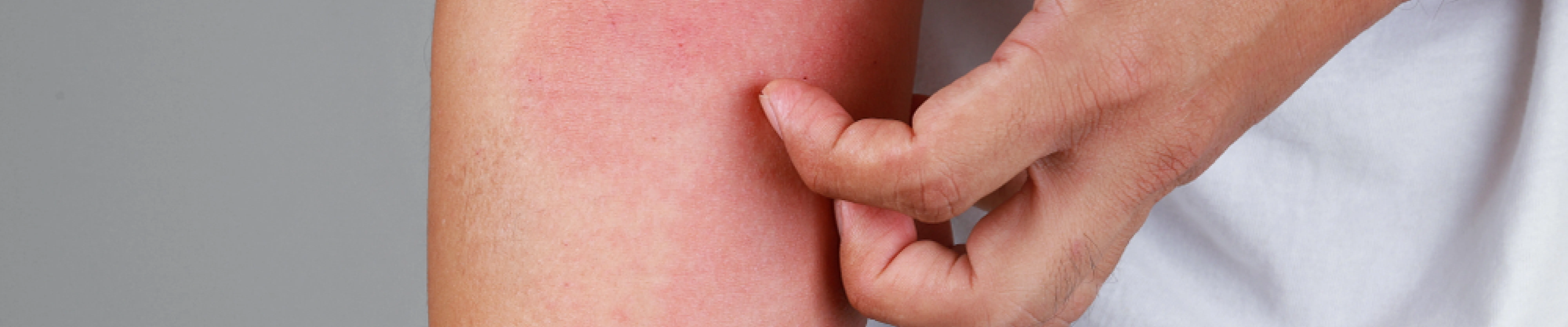 carpet cleaning in ny, carpet cleaner in ny, carpet cleaners in ny, carpet cleaners in ny, drapery cleaners in ny, carpet cleaning in ny, mattress cleaning in ny, mattress cleaners in ny, commercial carpet cleaning, commercial carpet cleaners in ny, ny rug cleaners, rug cleaning services in ny same day carpet cleaning, same day rug cleaning