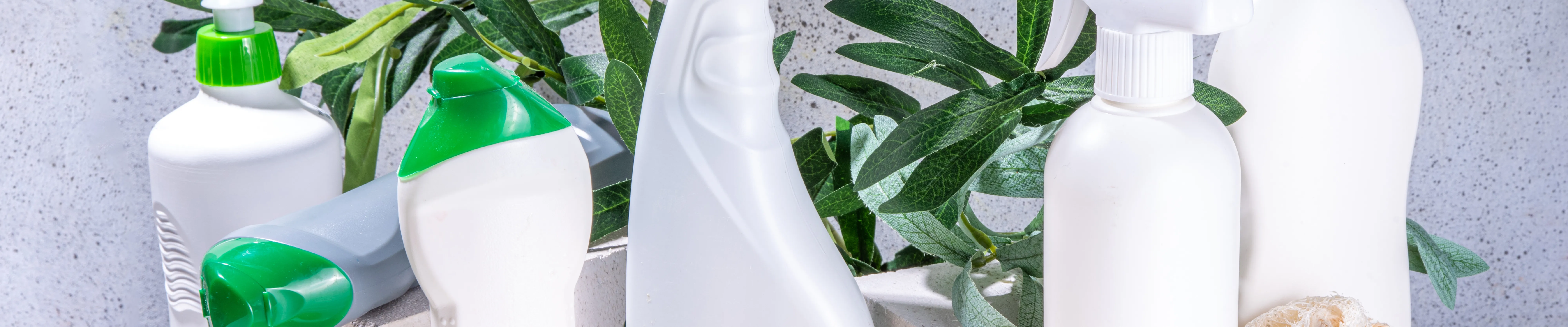 carpet cleaning in ny, carpet cleaner in ny, carpet cleaners in ny, carpet cleaners in ny, drapery cleaners in ny, carpet cleaning in ny, mattress cleaning in ny, mattress cleaners in ny, commercial carpet cleaning, commercial carpet cleaners in ny, ny rug cleaners, rug cleaning services in ny same day carpet cleaning, same day rug cleaning