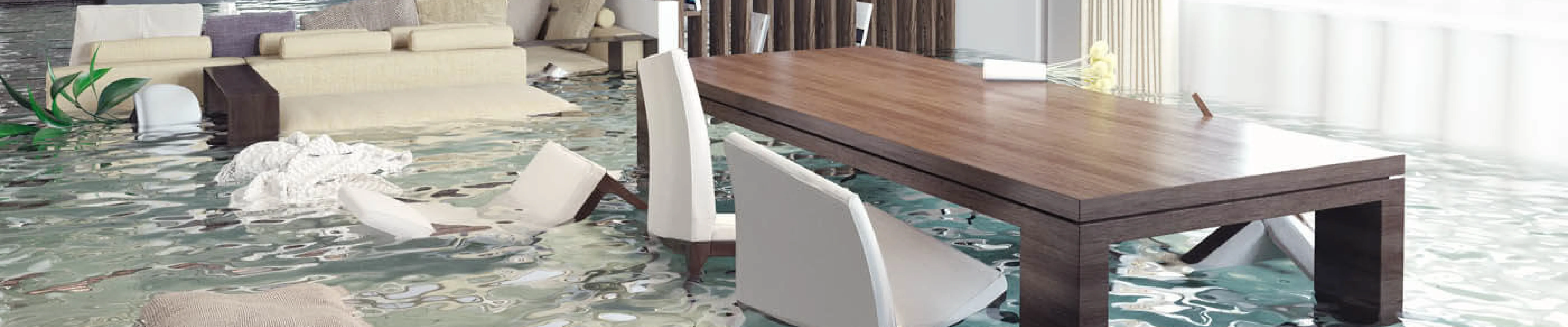 carpet cleaning in ny, carpet cleaner in ny, carpet cleaners in ny, carpet cleaners in ny, drapery cleaners in ny, carpet cleaning in ny, mattress cleaning in ny, mattress cleaners in ny, commercial carpet cleaning, commercial carpet cleaners in ny, ny rug cleaners, rug cleaning services in ny same day carpet cleaning, same day rug cleaning