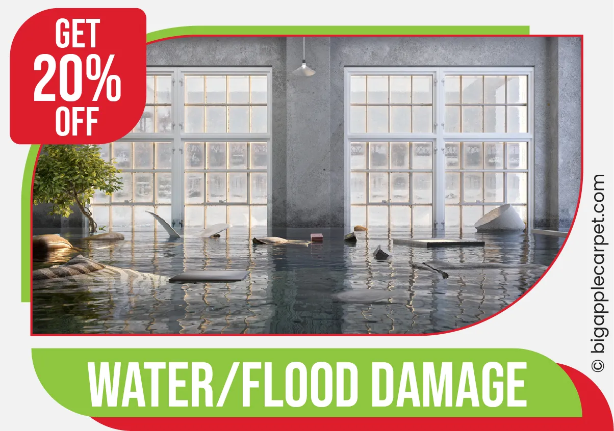 carpet cleaning in ny, carpet cleaner in ny, carpet cleaners in ny, carpet cleaners in ny, drapery cleaners in ny, carpet cleaning in ny, mattress cleaning in ny, mattress cleaners in ny, commercial carpet cleaning, commercial carpet cleaners in ny, ny rug cleaners, rug cleaning services in ny same day carpet cleaning, same day rug cleaning