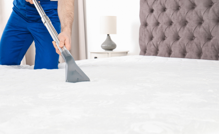carpet cleaning in ny, carpet cleaner in ny, carpet cleaners in ny, carpet cleaners in ny, drapery cleaners in ny, carpet cleaning in ny, mattress cleaning in ny, mattress cleaners in ny, commercial carpet cleaning, commercial carpet cleaners in ny, ny rug cleaners, rug cleaning services in ny same day carpet cleaning, same day rug cleaning