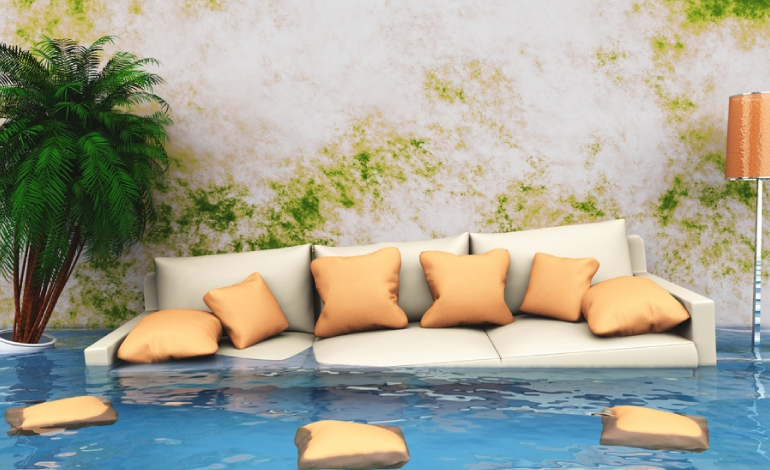 carpet cleaning in ny, carpet cleaner in ny, carpet cleaners in ny, carpet cleaners in ny, drapery cleaners in ny, carpet cleaning in ny, mattress cleaning in ny, mattress cleaners in ny, commercial carpet cleaning, commercial carpet cleaners in ny, ny rug cleaners, rug cleaning services in ny same day carpet cleaning, same day rug cleaning