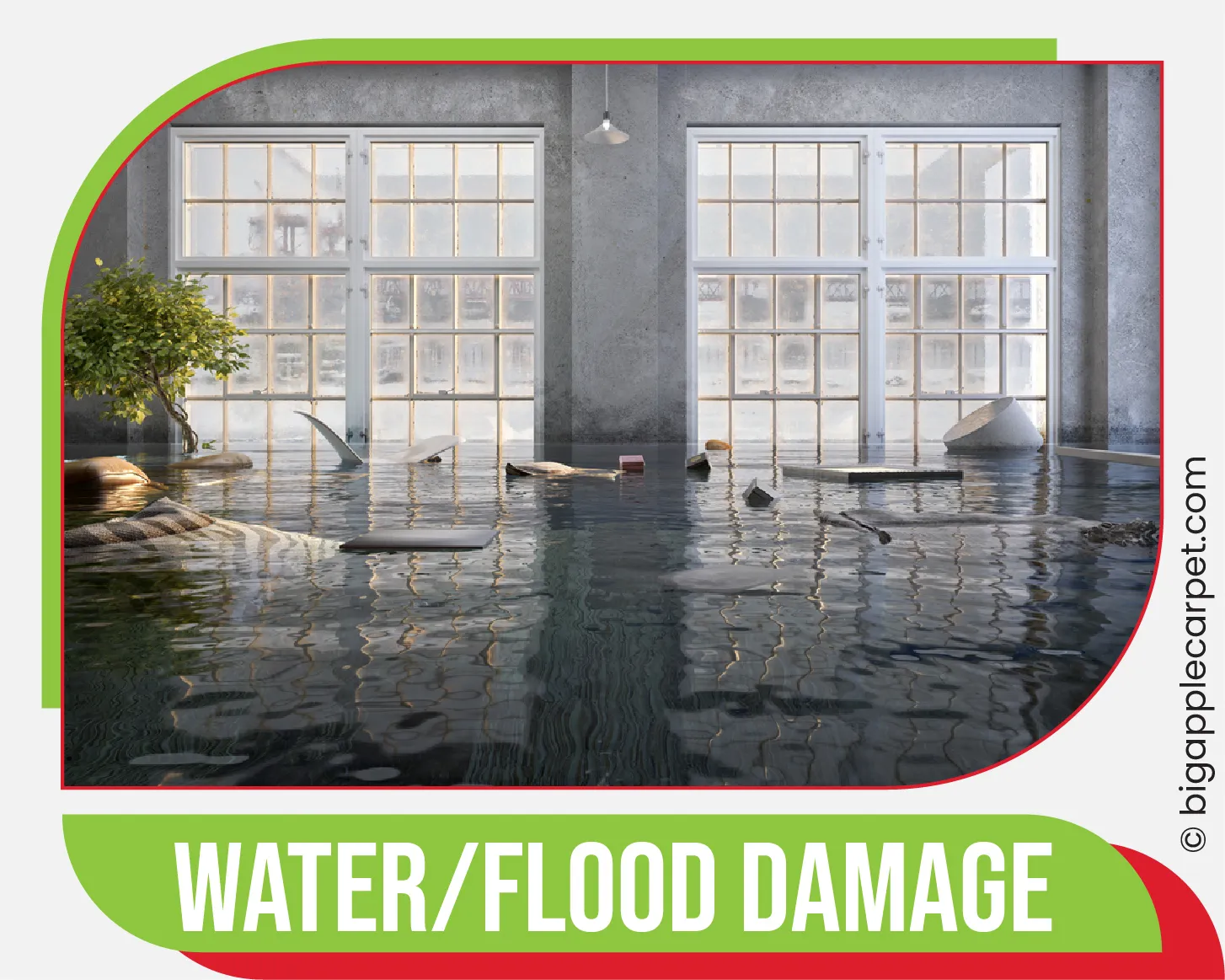 carpet cleaning in ny, carpet cleaner in ny, carpet cleaners in ny, carpet cleaners in ny, drapery cleaners in ny, carpet cleaning in ny, mattress cleaning in ny, mattress cleaners in ny, commercial carpet cleaning, commercial carpet cleaners in ny, ny rug cleaners, rug cleaning services in ny same day carpet cleaning, same day rug cleaning